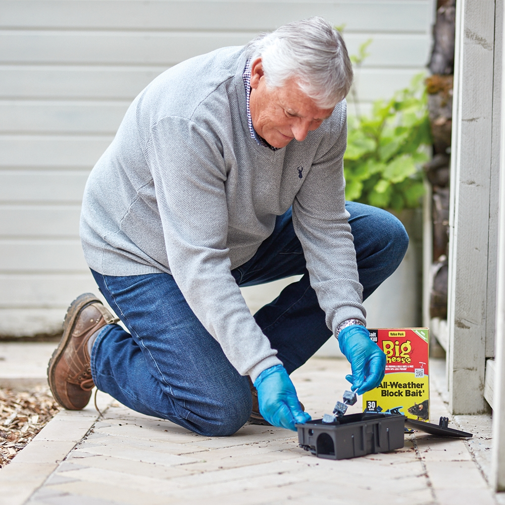 The Big Cheese Block Bait Rodent Killer Kit