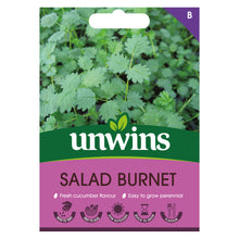Herb Salad Burnet