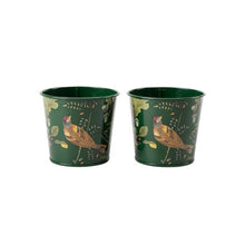 Burgon & Ball RHS Woodland Wonders 2 Herb Pots​
