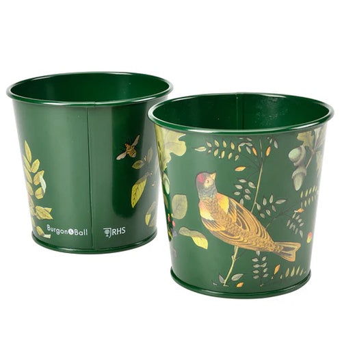 Burgon & Ball RHS Woodland Wonders 2 Herb Pots​