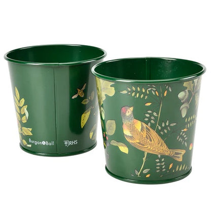 Burgon & Ball RHS Woodland Wonders 2 Herb Pots​