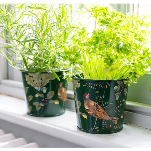 Burgon & Ball RHS Woodland Wonders 2 Herb Pots​