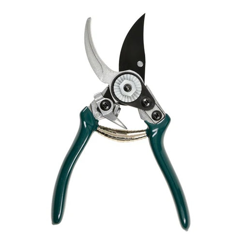 Burgon & Ball RHS Woodland Wonders Pruner and Holster Set ​