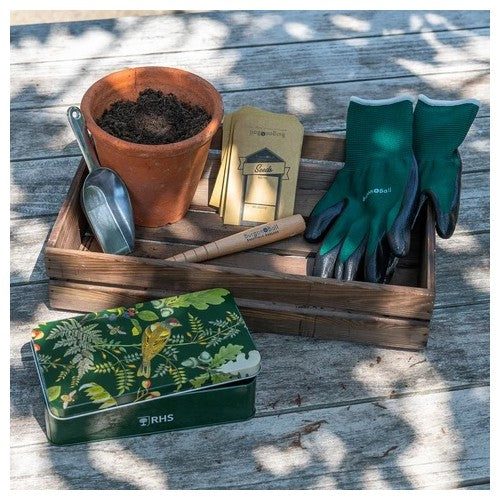 Burgon & Ball RHS Woodland Wonders Sowing & Potting Tin ​