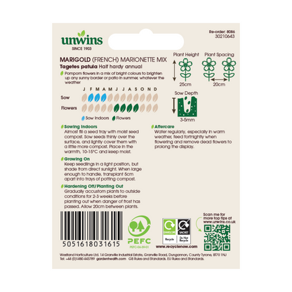 Marigold (French) Marionette Mix