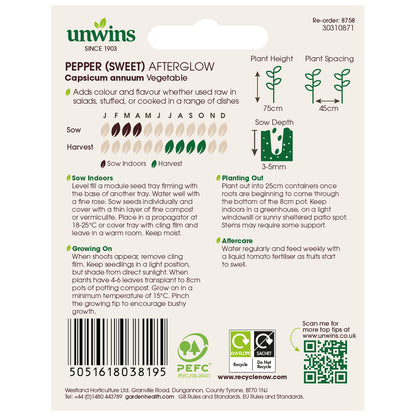 Pepper (Sweet) Afterglow