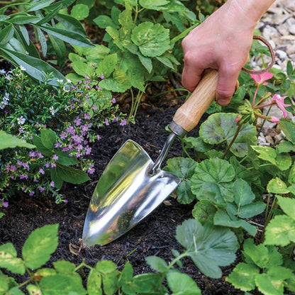 Burgon & Ball RHS Stainless Groundbreaker Trowel