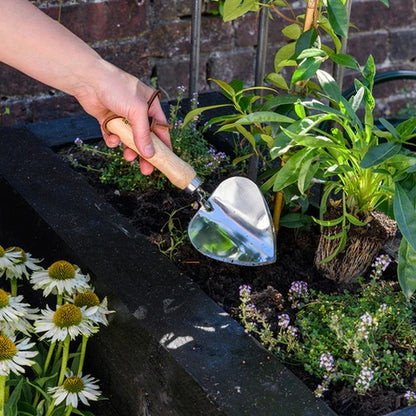 Burgon & Ball RHS Stainless Planting Trowel