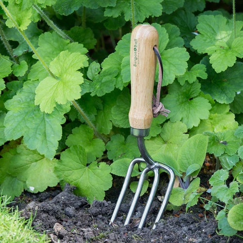 Burgon & Ball RHS Stainless Round Tine Fork