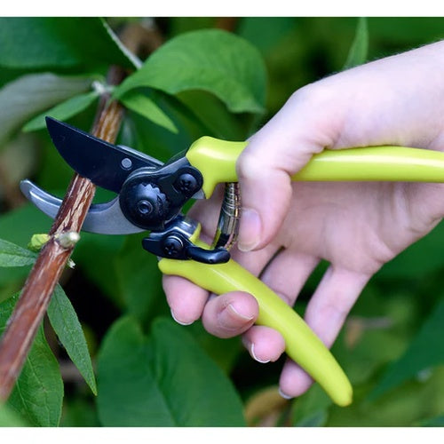 Burgon & Ball RHS End Micro Secateurs-Green Handles