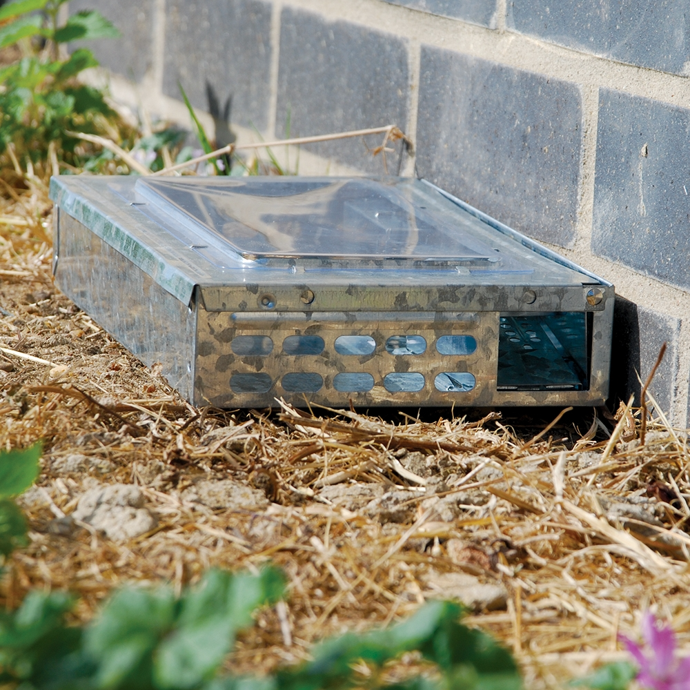 The Big Cheese Ultra Power Live Multi-Catch Mouse Trap