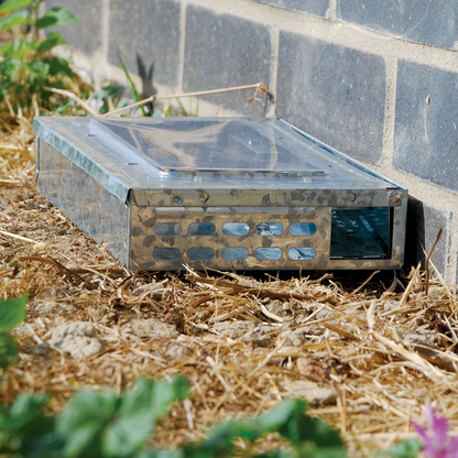 The Big Cheese Ultra Power Live Multi-Catch Mouse Trap