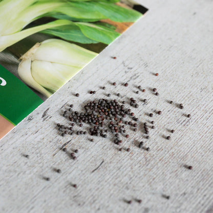 Unwins Asian Stair Fry Seed Bundle