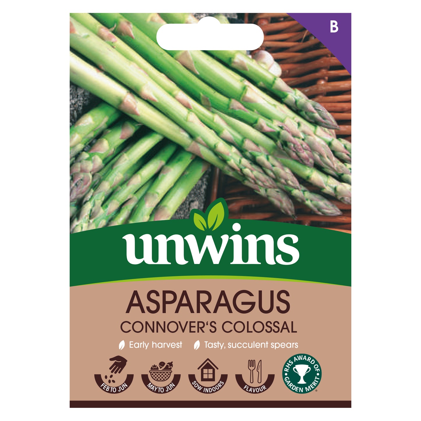 Asparagus Connover's Colossal