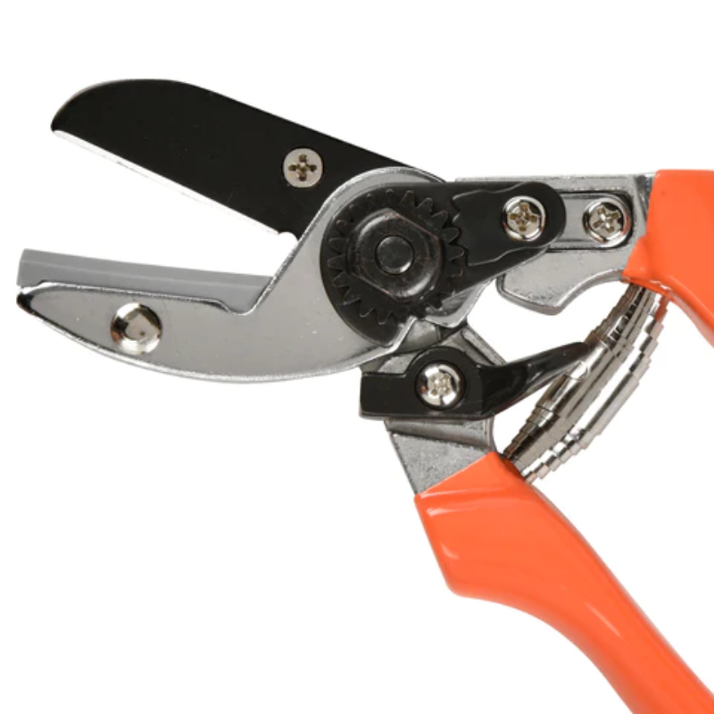 Burgon & Ball Anvil Secateur