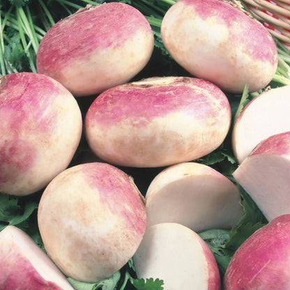 Unwins Root Harvest Seed Bundle