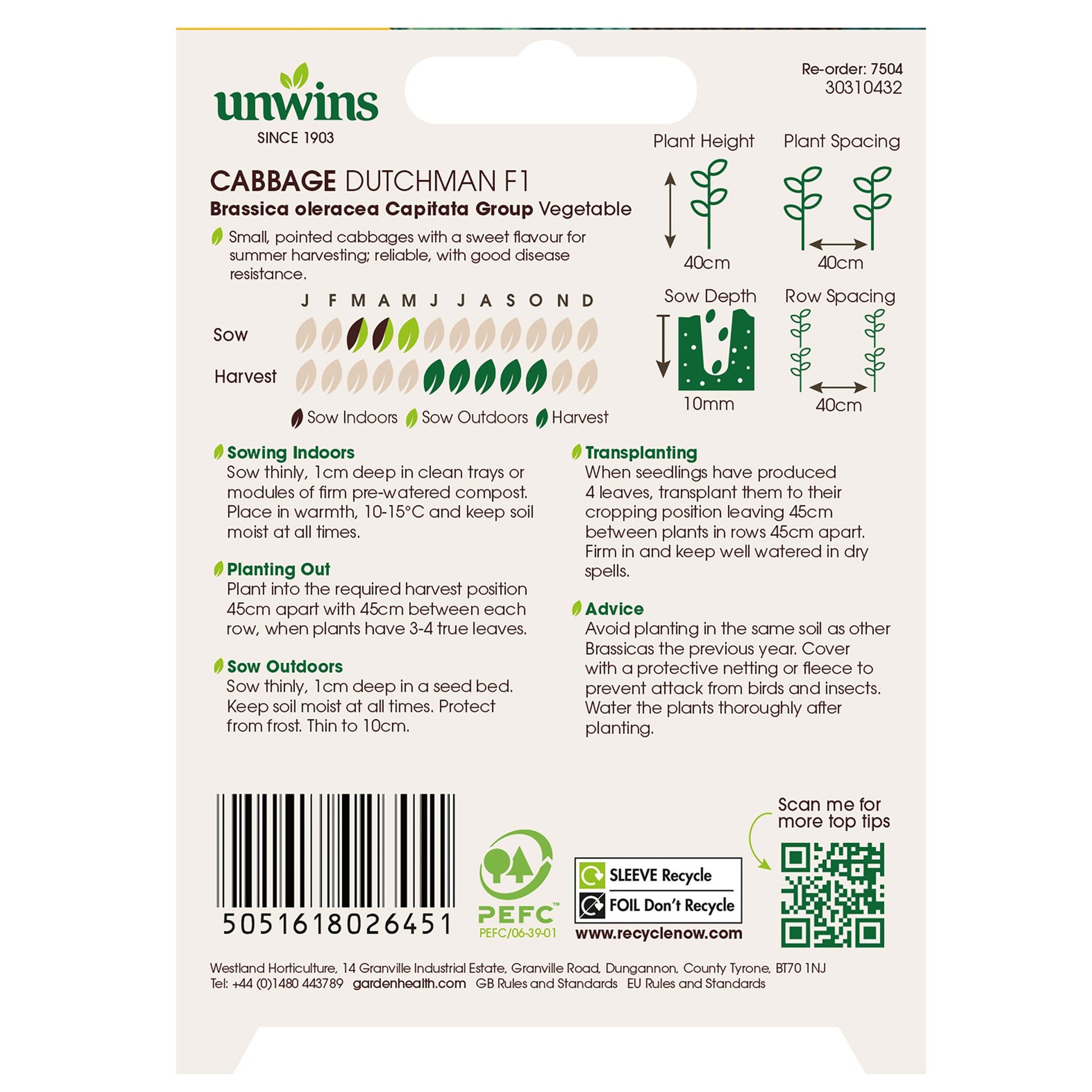 Cabbage (Pointed) Dutchman F1