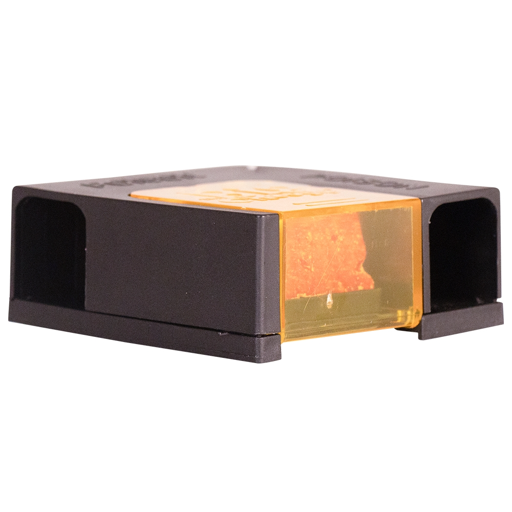 The Big Cheese Block Bait Mouse Killer Kit Twinpack