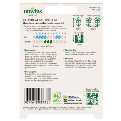 Heuchera Melting Fire