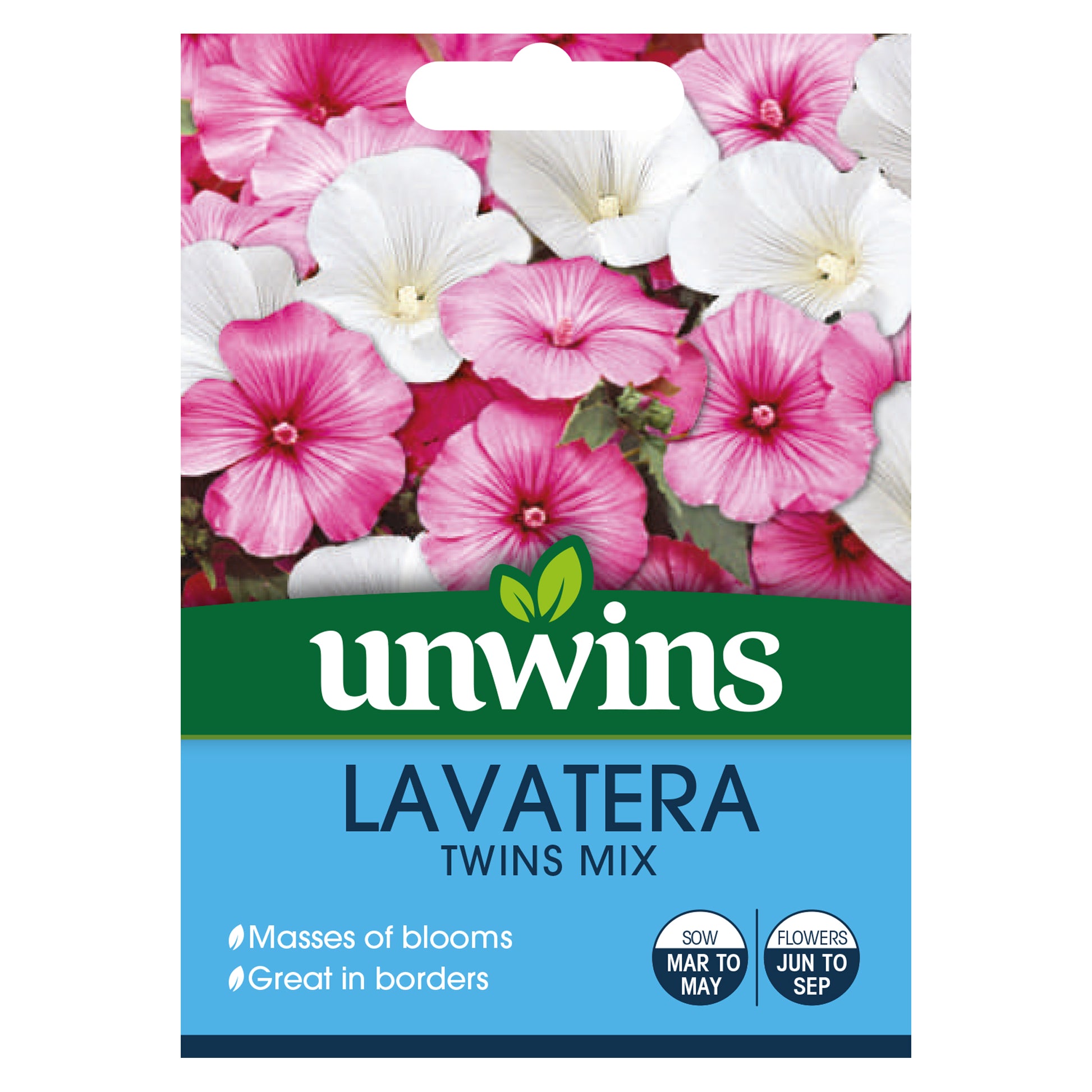 Lavatera Twins Mix