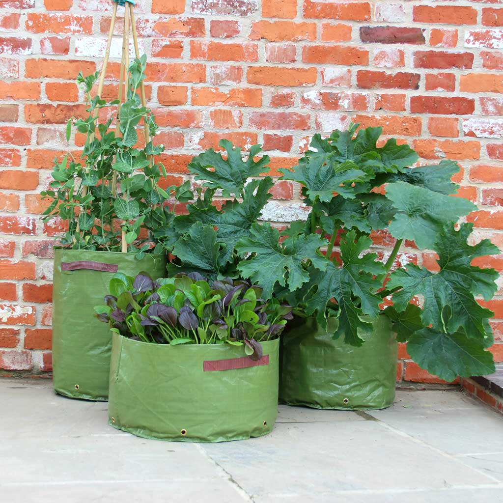 Haxnicks Patio Planters