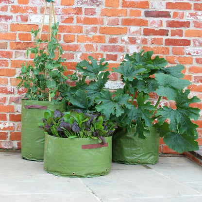 Haxnicks Patio Planters