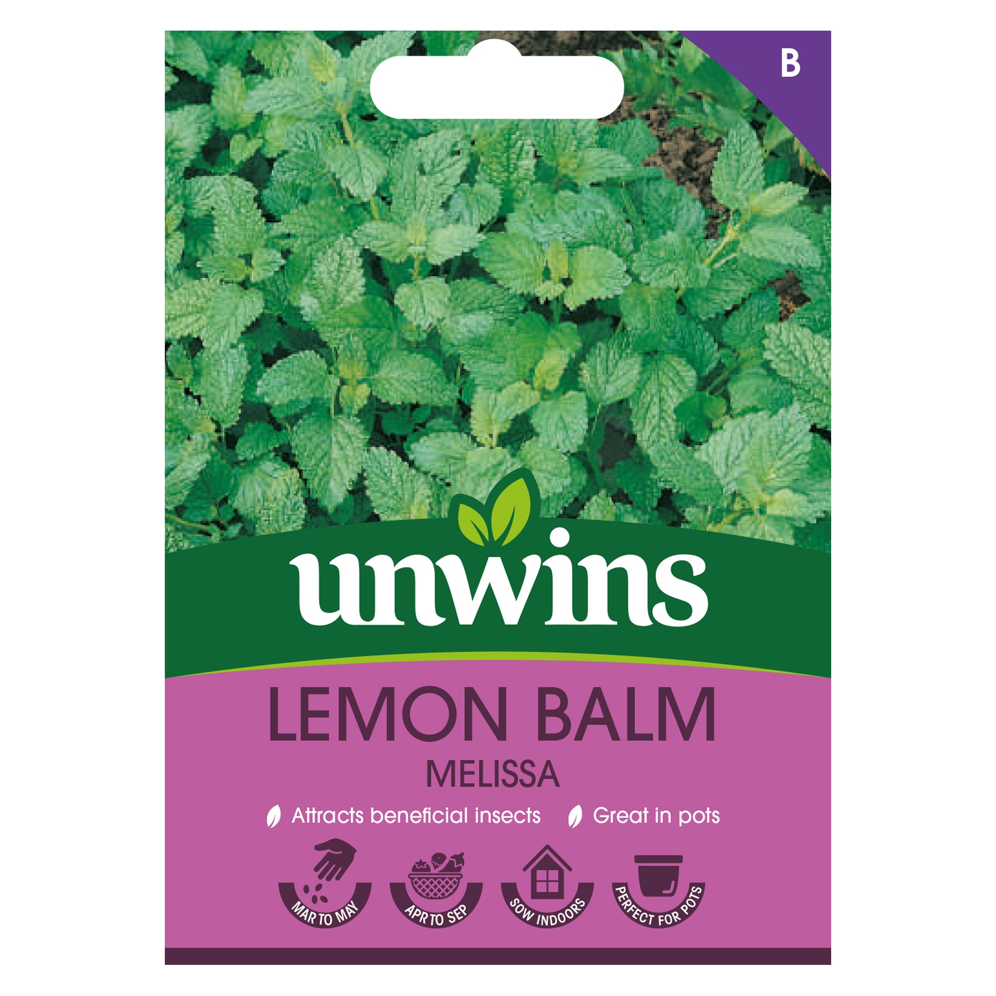 Herb Lemon Balm Melissa