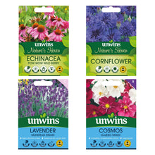 Unwins Bee & Butterfly Friendly Flower Seed Bundle