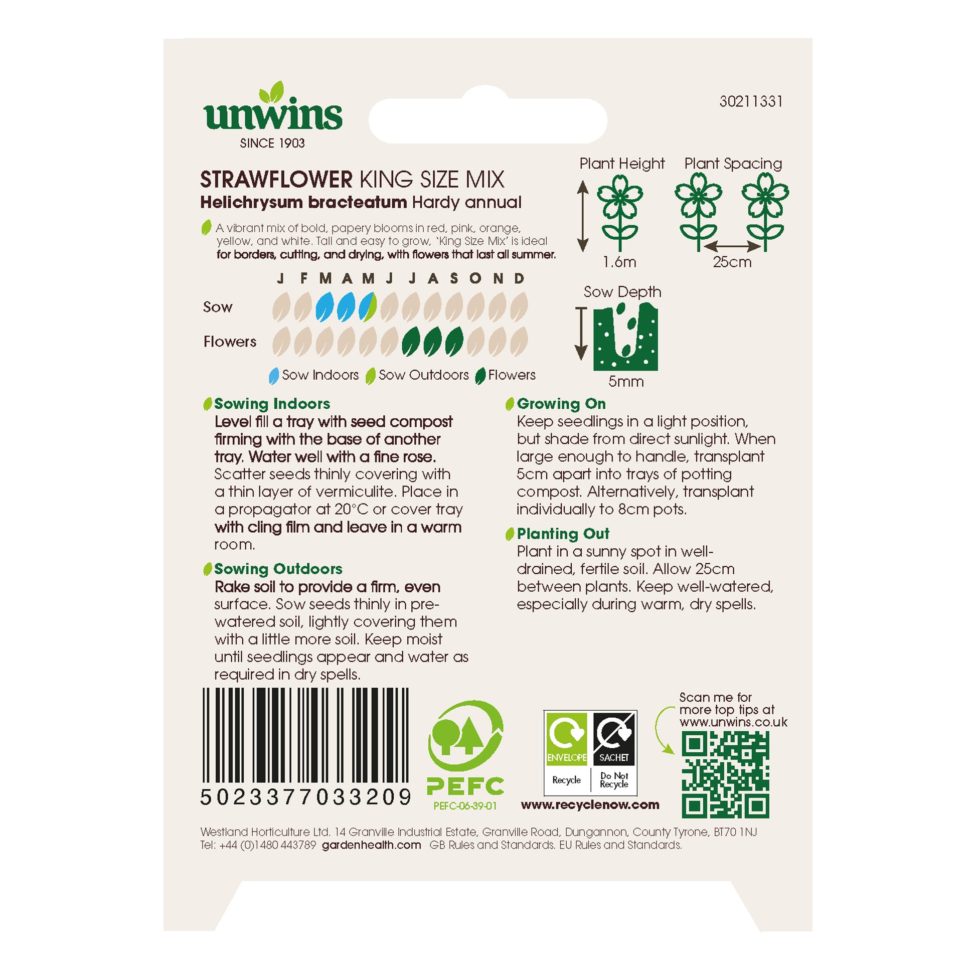 Helichrysum Straw Flower King Size Mix