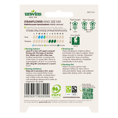 Helichrysum Straw Flower King Size Mix