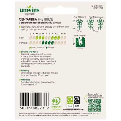 Centaurea The Bride