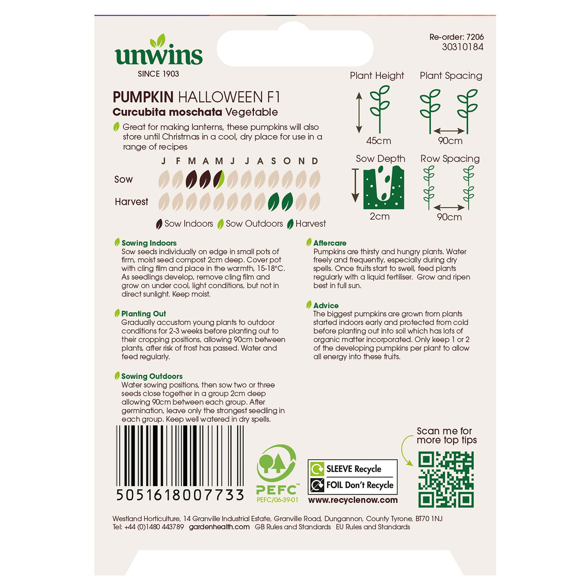 Pumpkin Halloween F1