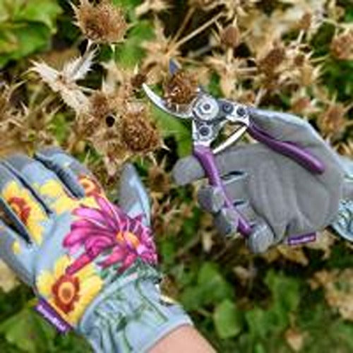 Burgon & Ball Asteraceae Pruner & Holster Set