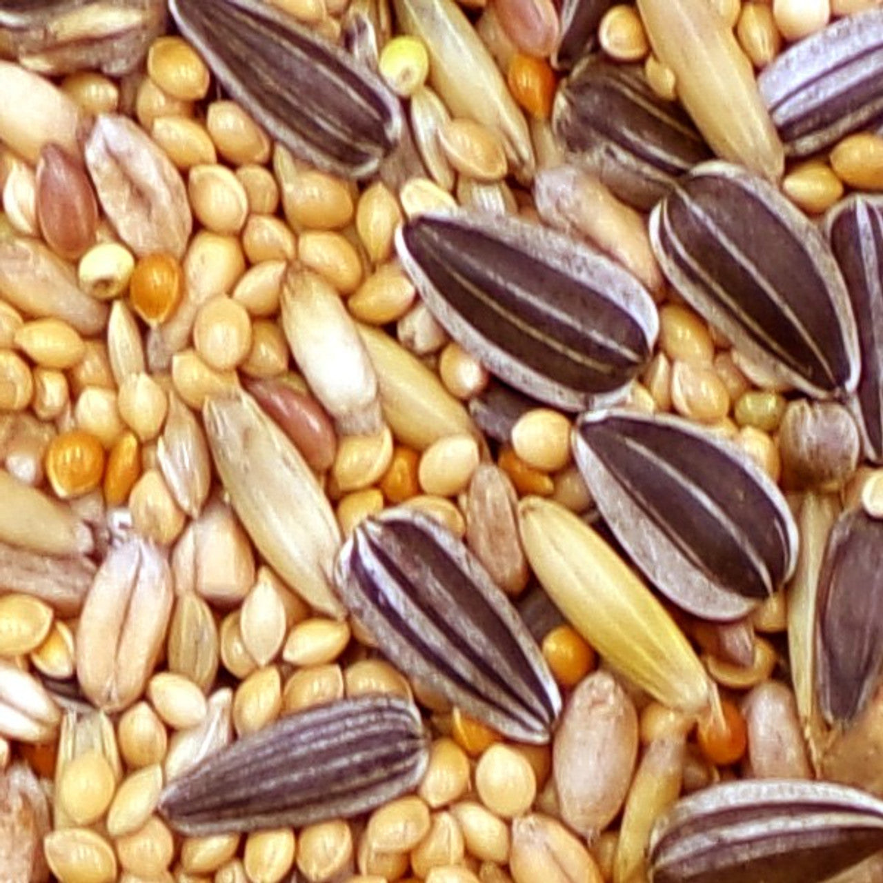 Marriage's Cockatiel, Parakeet Lovebird Food 3kg