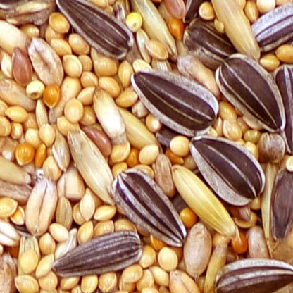 Marriage's Cockatiel, Parakeet Lovebird Food 3kg