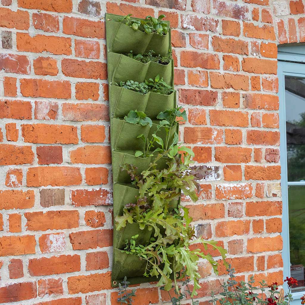 Haxnicks Vigoroot Planter