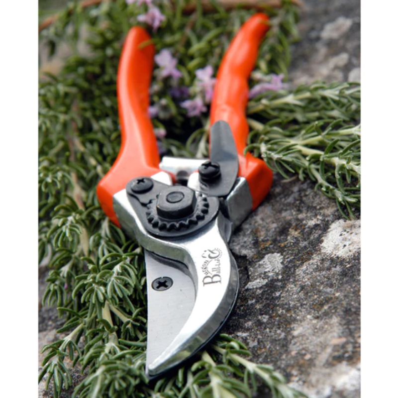 Burgon & Ball Bypass Secateurs