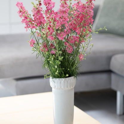 Delphinium King Scarlet (English Rose)