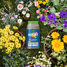 Westland Boost Slow Release Plant Food 750g
