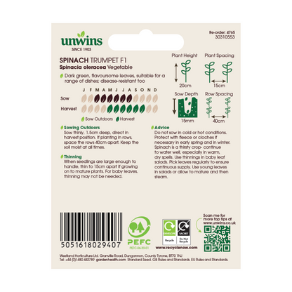 Spinach TrumpetFlavour Range