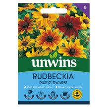 Rudbeckia Dwarf Rustic