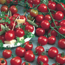 Tomato (Cherry) Sweet Million