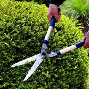 Spear & Jackson Hedge Shears
