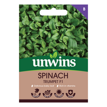 Spinach TrumpetFlavour Range