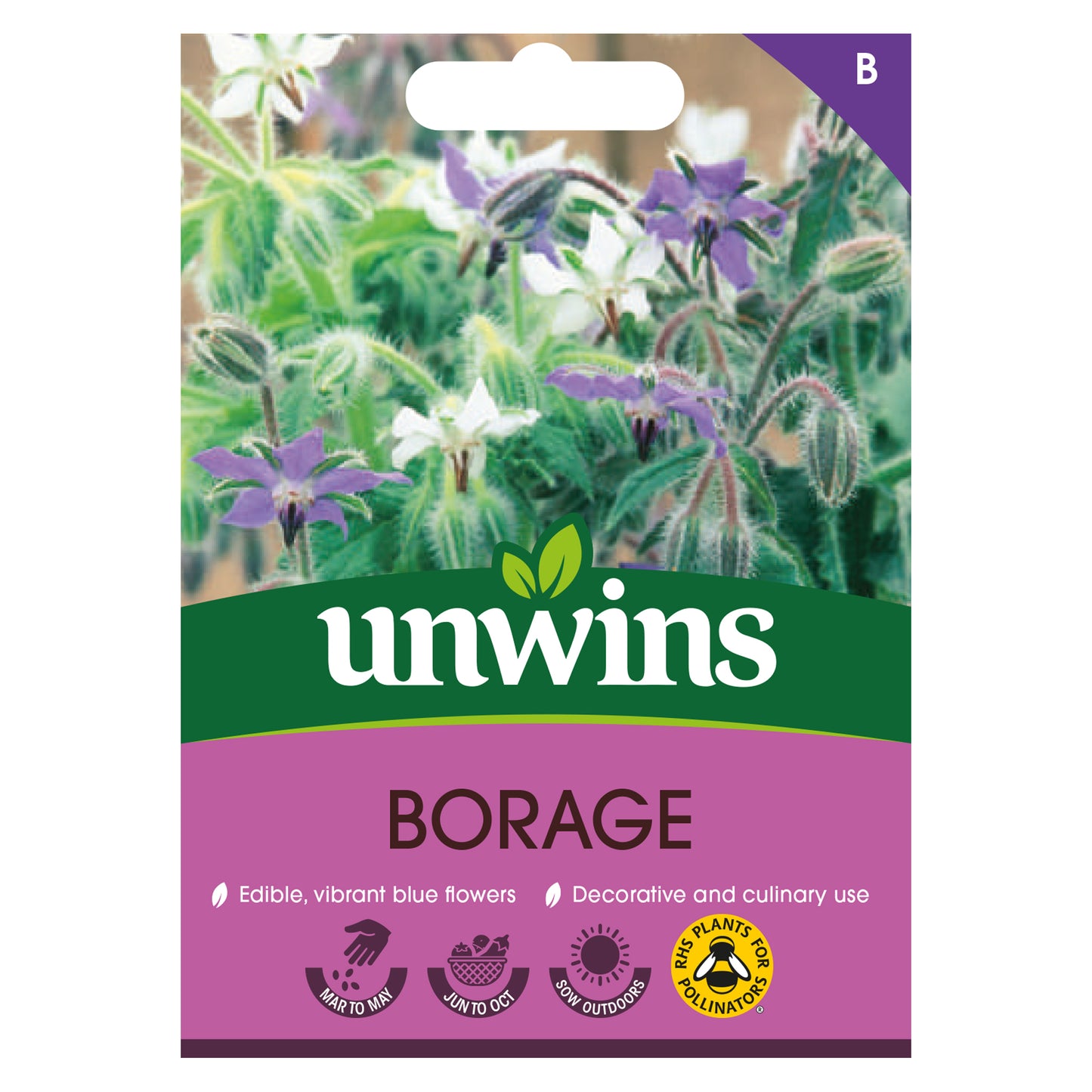 Herb Borage