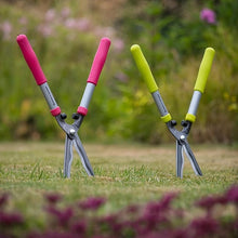 Spear & Jackson Hand Shears in Green