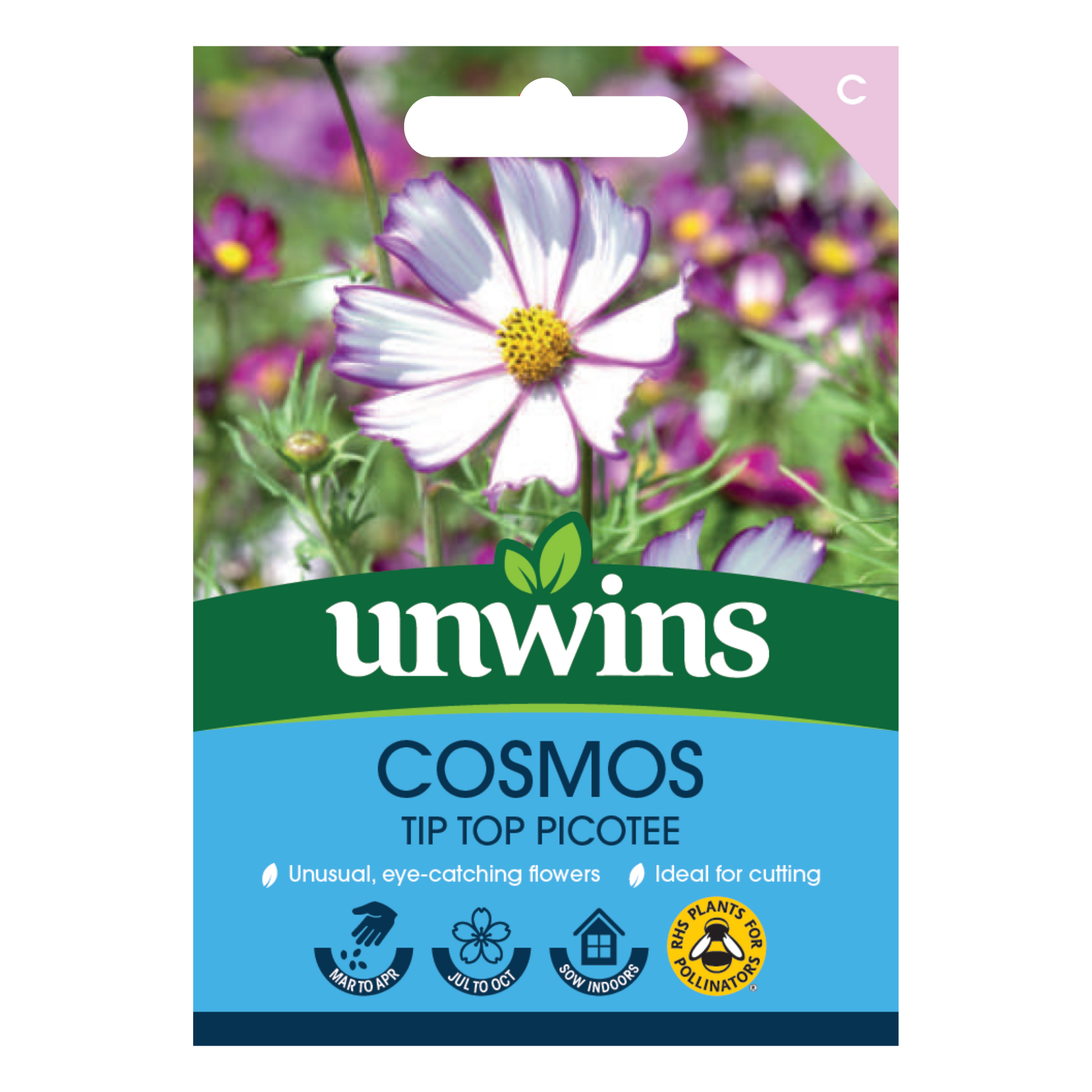 Cosmos Tip Top Picotee