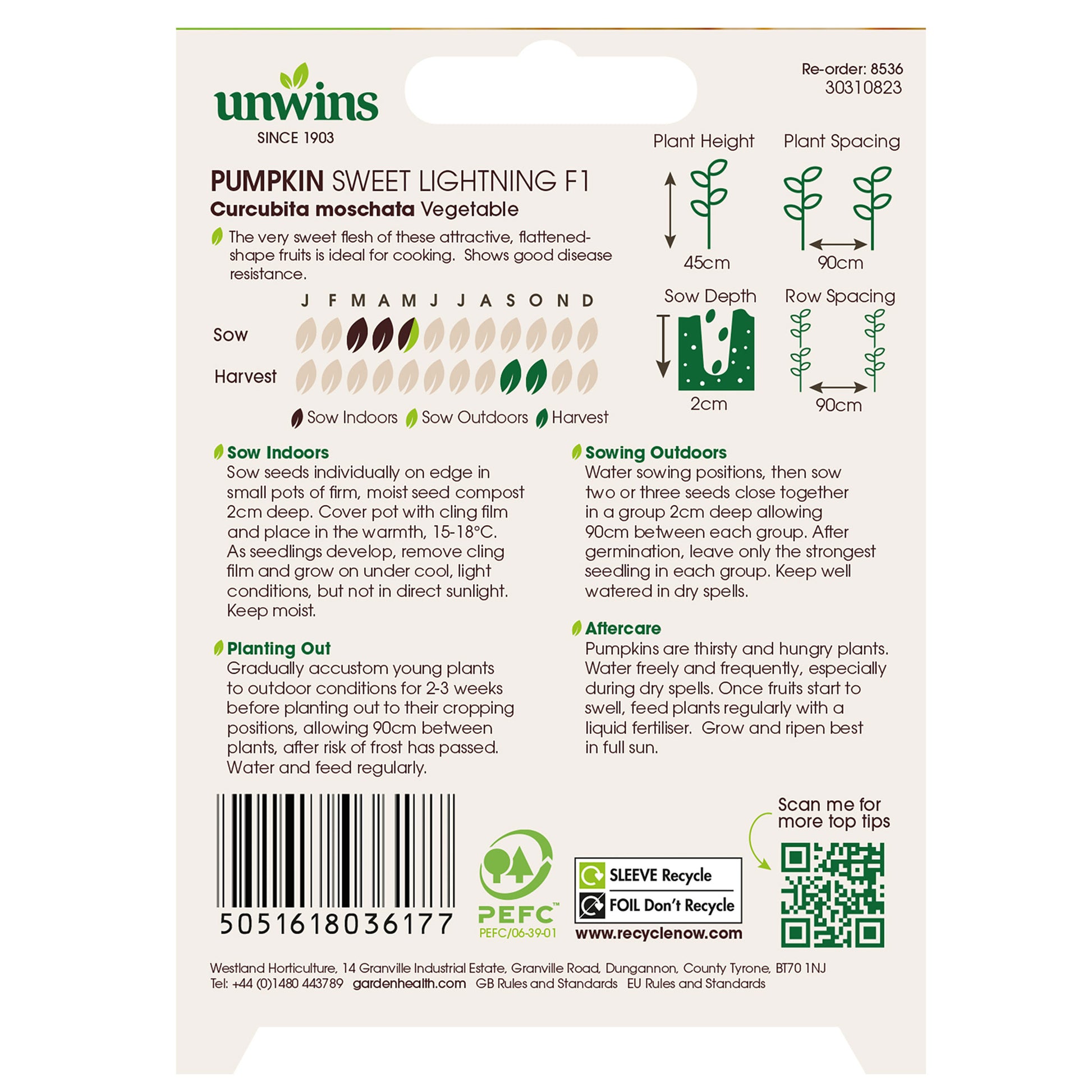 Pumpkin Sweet Lightning F1