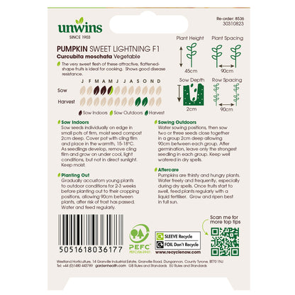 Pumpkin Sweet Lightning F1