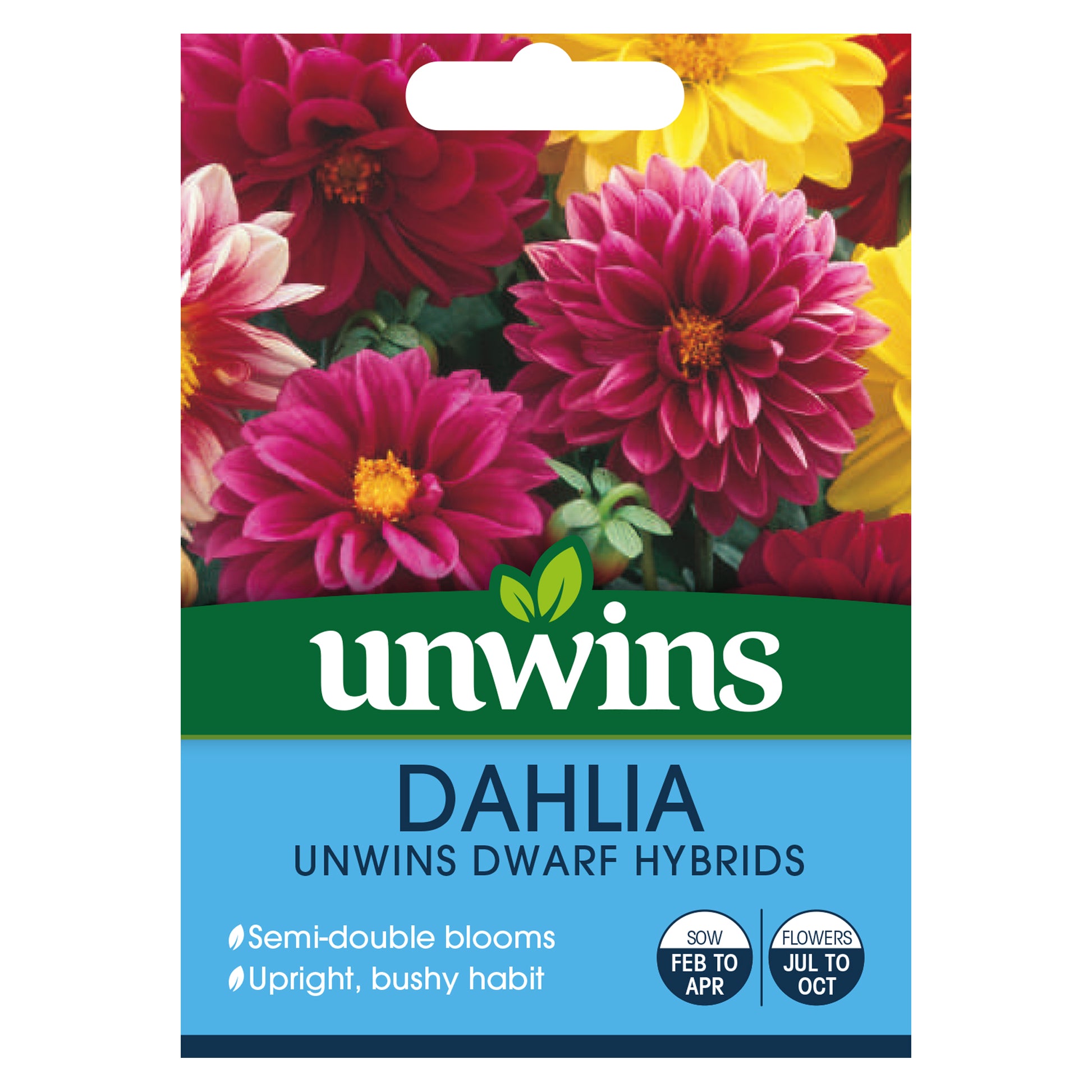 Unwins Autumn Flowering Seed Bundle